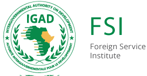 IGAD FSI Hub